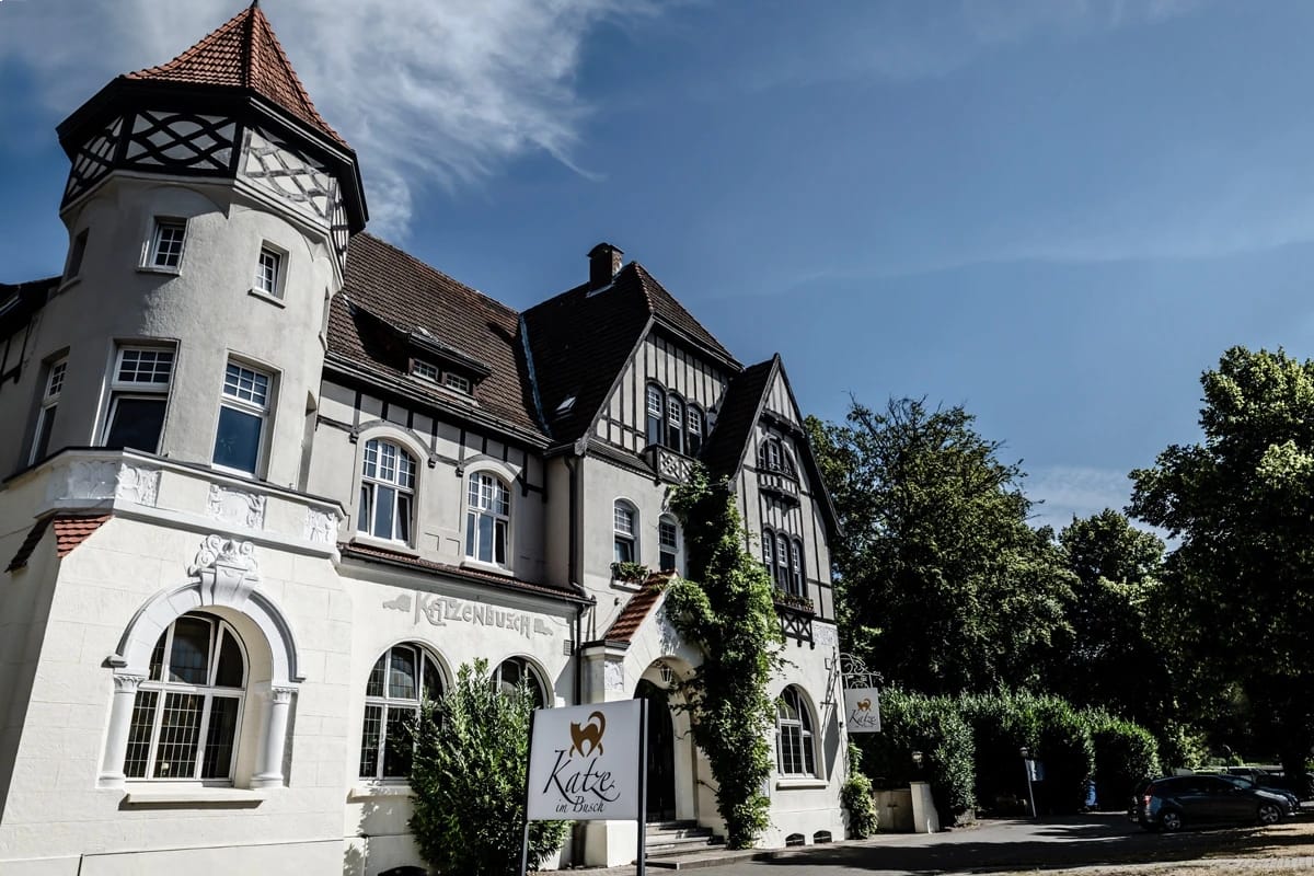 Komplette Villa, Katze im Busch in Herten