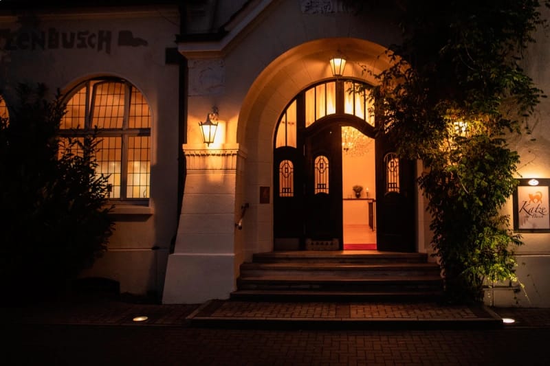 Komplette Villa, Katze im Busch