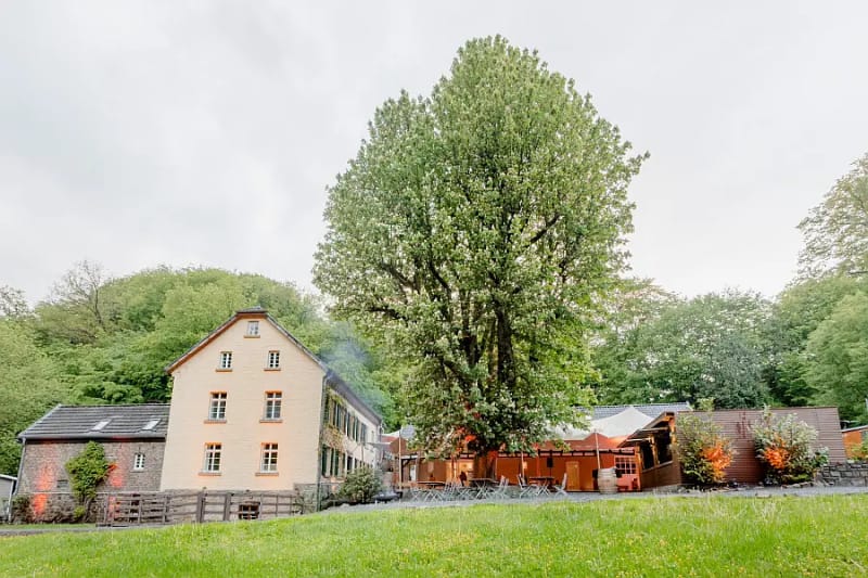 Außenareal, Kupfersiefer Mühle