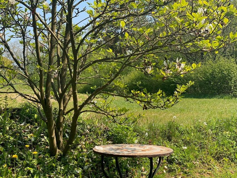 Wiese, LandGut Breibach