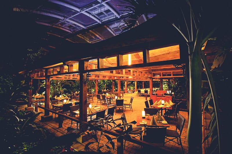 Tropengarten, Ryokan Eventlocation (ZOOM Erlebniswelt)