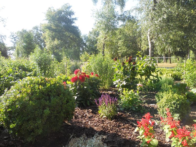 Biergarten und Park, Waldrestaurant Höfer