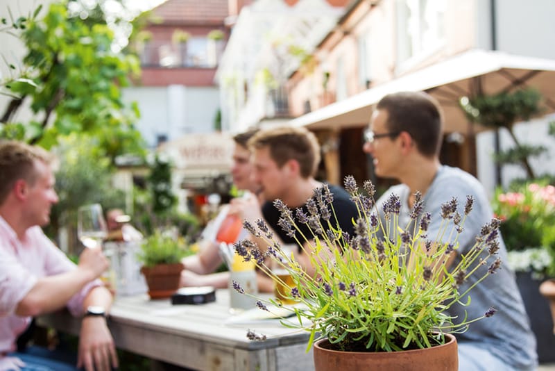 Biergarten, Wefers Bistro