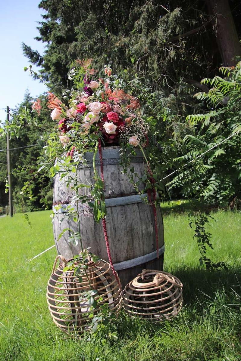 Garten, Burg Niederpleis