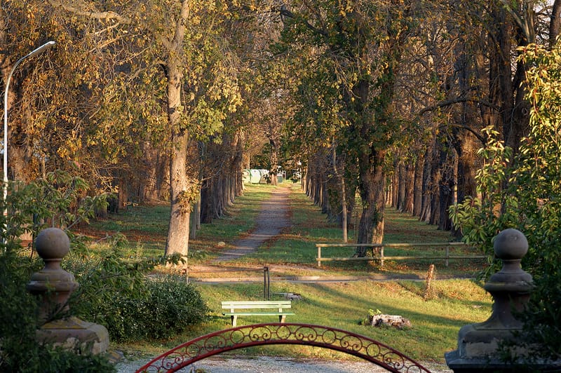 Schlosspark, Schloss Wachendorf