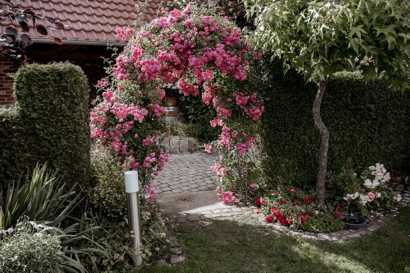 Terrasse und Garten, Stratbücker's